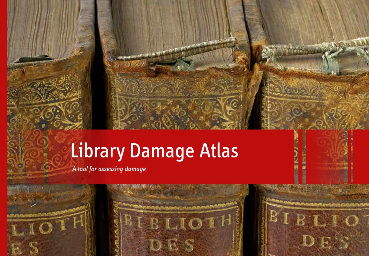 Library Damage Atlas 