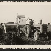 Arbeiders aan het werk, ca 1960. Zeeuws Archief, Koninklijke Maatschap De Wilhelminapolder, toegang 250, inv. nr 1067.