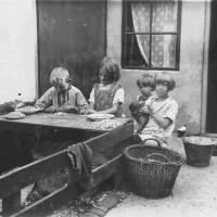 Garnalen pellende kinderen op Urk, 1931. Uit Archief van de Rijksdienst ter Uitvoering van de Zuiderzeesteunwet, fotocollectie Nieuw Land Erfgoedcentrum Lelystad