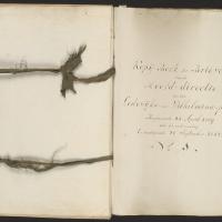 Kopijboek der brieven van de hoofd-directie van den Lodewijks- nu Wilhelminapolder 1809-1827. Zeeuws Archief, Archief Koninklijke Maatschap De Wilhelminapolder, toegang 250, inv. nr 49.