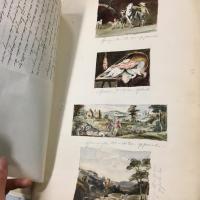 Uit het Historisch Archief van het Mauritshuis 1816-1952
