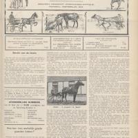 De Paardenwereld, 14 december 1922
