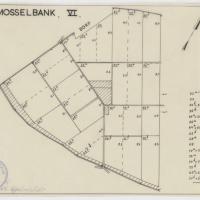 Mosselbank VI technische tekening. Zeeuws Archief, Koninklijke Maatschap De Wilhelminapolder, toegang 250, inv. nr 899.