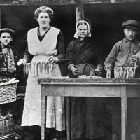 De haringvangst behoorde tot een van de voornaamste pijlers van de Zuiderzeevisserij. Uit Archief van de Rijksdienst ter Uitvoering van de Zuiderzeesteunwet, fotocollectie Nieuw Land Erfgoedcentrum Lelystad