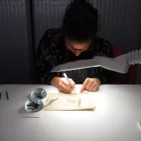 Amelie Couvrat Desvergnes