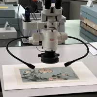 Onderzoek Japanse prenten