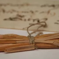 Uit het archief van de schepenbank van de heerlijkheid Tilburg en Goirle (1408-1811)