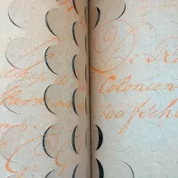 Mutilaties: Jubileumboek 20 jaar Metamorfoze
