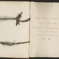 Kopijboek der brieven van de hoofd-directie van den Lodewijks- nu Wilhelminapolder 1809-1827. Zeeuws Archief, Archief Koninklijke Maatschap De Wilhelminapolder, toegang 250, inv. nr 49.